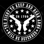 Right To Bear Arms Defender Vinyl Decal 2nd Amendment | Grit Style Gear